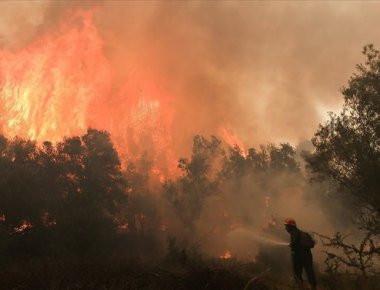 Ταΰγετος: Υπό μερικό έλεγχο τέθηκε η πυρκαγιά